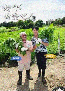 潮汐证词 弦乐四重奏